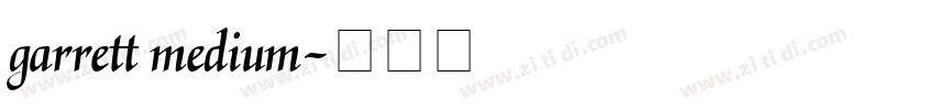 garrett medium字体转换